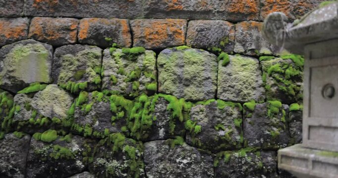 Camera pans smoothly left to right along a row of ancient stone lanterns covered with moss near a historic temple wall in Nikko, Japan