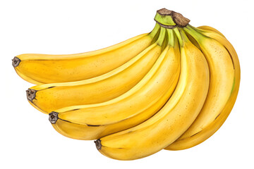 Bunch of bananas isolated on white background with clipping path and full depth of field
