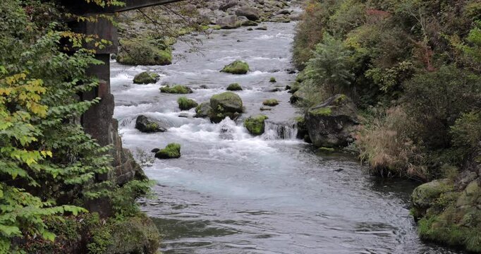 Static video of the Daiya River flowing gently over mossy rocks under the historic Shinkyo Bridge in Nikko Japan capturing serene nature of peaceful landscape