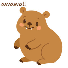 hyrax daman with text awawa meme. Hyrax vector animal isolated on white background, meme template. cute kawaii animal with fangs .