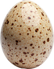 High-resolution quail egg isolated on transparent background for food marketing, recipe blogs, and culinary projects.