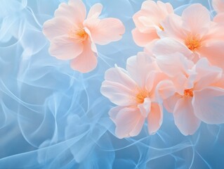 Fototapeta premium Peach blossoms on blue