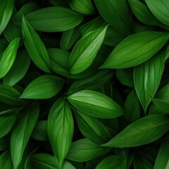 Obraz premium Green leaves background texture