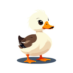 Cute duck vector graphic and illustration