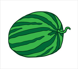 watermelon vector illustration with a whole green-striped melon. Ideal for menu art, packaging labels, summer banners, social media graphics