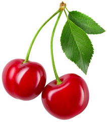 Cherry isolated png. Sour cherry with leaf on transparent background. Top view two cherries on branch with leaves no background. Png cherry. Full depth of field.
