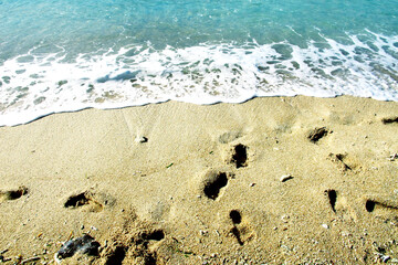 footprints in the sand