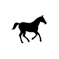 Horse silhouette running wild