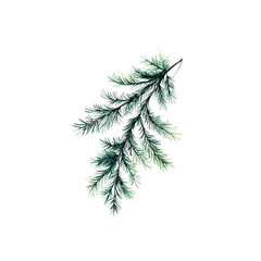 Obraz premium Watercolor Painting of a Sprig of Pine