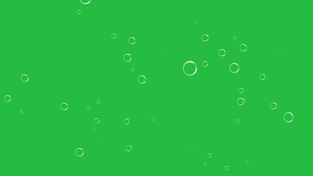 Rising bubbles on green screen background chroma key alpha channel