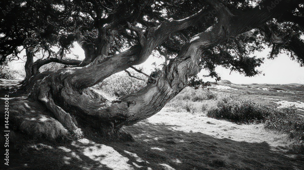 Poster a large ancient tree spreading its branches over a hillside