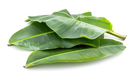 Fresh green banana leaves isolated on white background