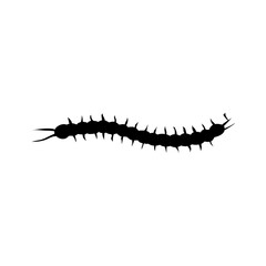 Centipede silhouette cartoon. Vector illustration 