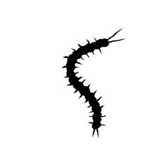 Centipede silhouette cartoon. Vector illustration 