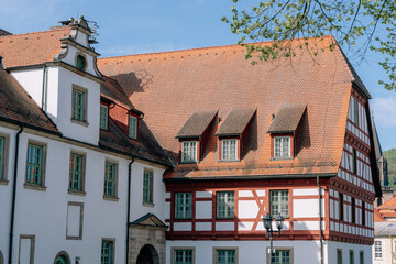 Fototapeta premium Elegant European Architecture Framed by Trees in Sunshine, Germany