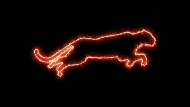 Black panther jumping fire line, cheetah running full speed