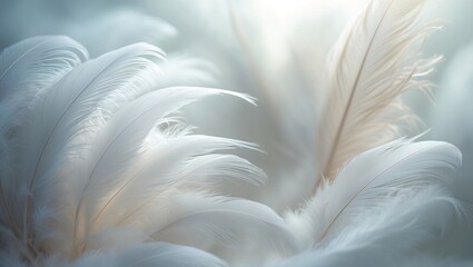 Naklejka premium Feathers as Background