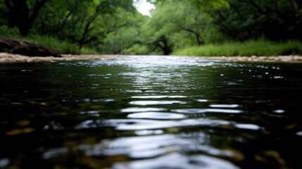 Fototapeta premium Calm river flows through a lush green forest with trees reflecting on the rippled water surface.