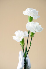Bouquet of white carnations. Mockup for greeting card, invitations
