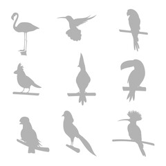 Parrot cartoon set isolated Vectors Silhouettes
