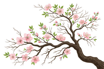 Fototapeta premium Botanical Branches