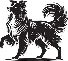 Border Collie Black and White Vector Silhouette for Logos