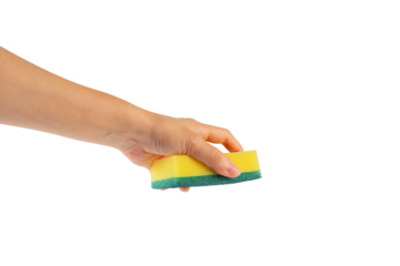 Brush household, cleaning sponge for cleaning and hand on transparent background.
