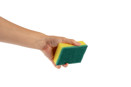 Brush household, cleaning sponge for cleaning and hand on transparent background.

