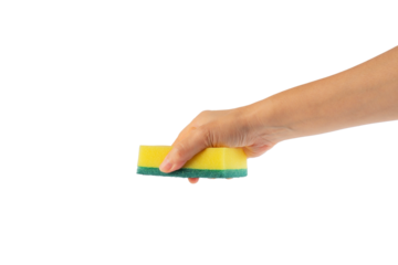 Brush household, cleaning sponge for cleaning and hand on transparent background. 