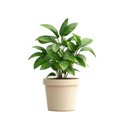 Fototapeta premium Lush green plant in a beige pot against a colorful striped background