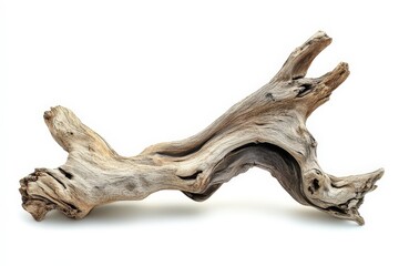 Fototapeta premium Intricate, weathered driftwood piece against white backdrop.