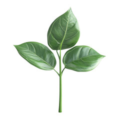 Fototapeta premium Green plant sprout with vibrant striped background nature growth spring leaves stem