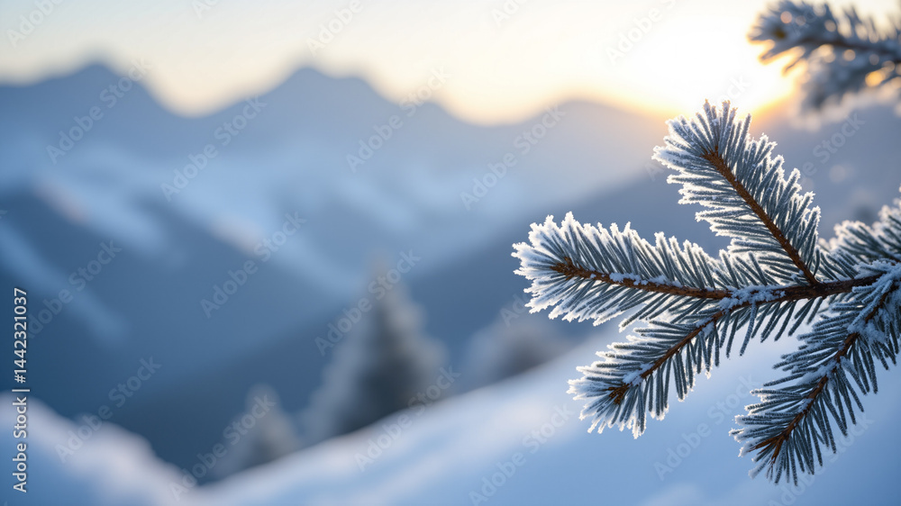 Poster the image shows a snowy mountain landscape with a pine tree branch covered in frost in the foregroun