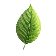 Fototapeta premium A single green leaf against a colorful striped background nature botany leaf art
