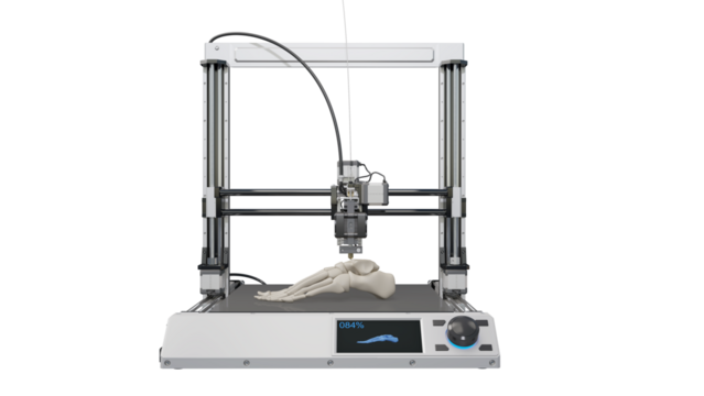Highly detailed human foot replica created using 3D printing technology. Isolated on a transparent background. 3D illustration.