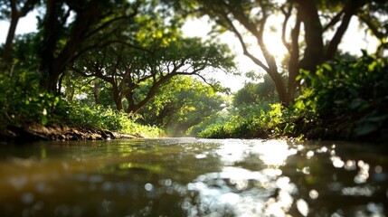 A small stream in the woods.
