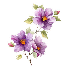 Watercolor purple flowers blossom beautifully on a delicate branch isolated.