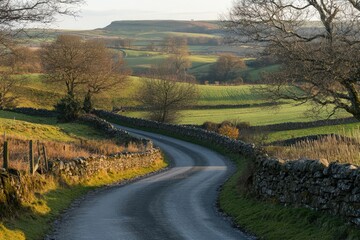 Obraz premium Winding Country Road Through Patchwork Fields at Sunset