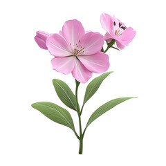 Fototapeta premium Pink flowers with green leaves on a colorful striped background