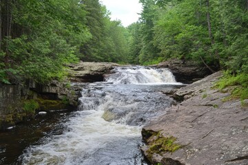 Fototapeta premium Mountain Stream Waterfall Flowing Over Mossy Rocks in Dense Forest