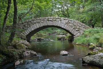 Ancient Stone Bridge Arching Over Calm River in Lush Scottish Valley