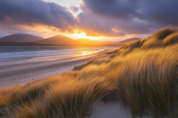 Grassy Coastal Dunes Swaying in Sea Breeze at Sunset