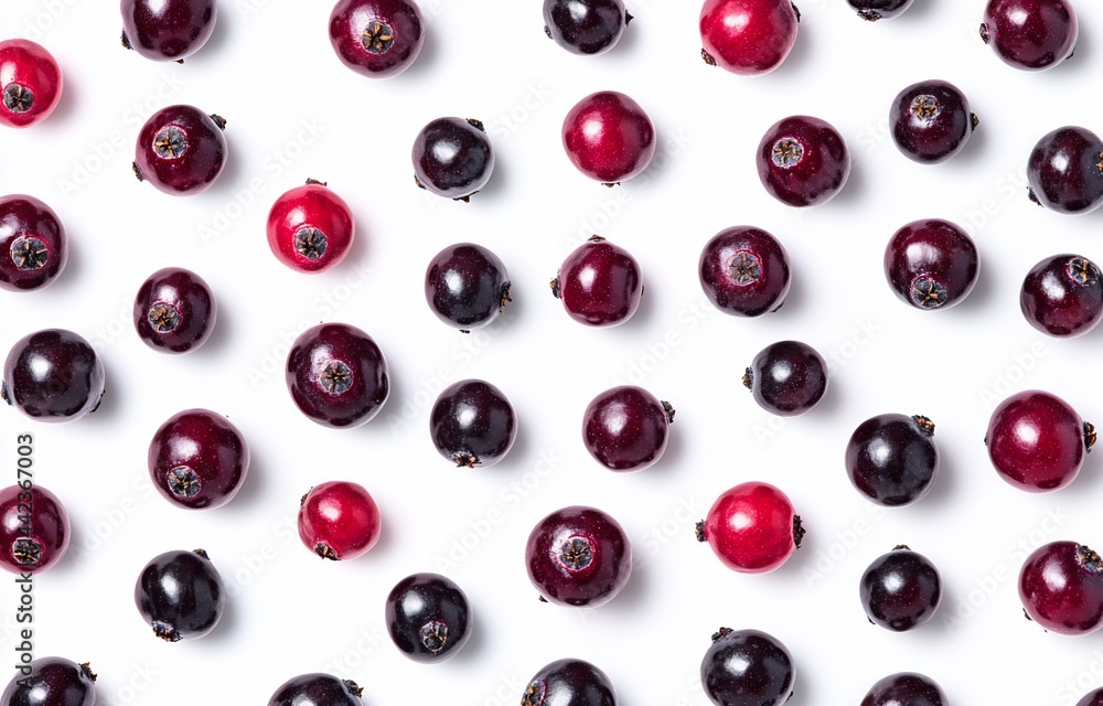 Poster flat lay of dark and light red cranberries arranged in a pattern on a white background.