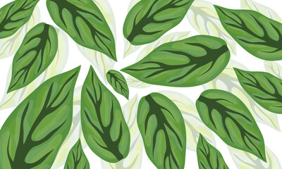 Leaves arranged in circular pattern with white background texture