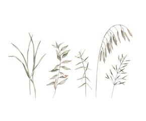 Obraz premium Watercolor botanical collection with herbal branches. Hand drawn isolated illustrations on white background