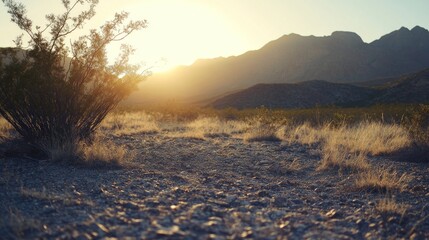 Obraz premium A vibrant golden sunset illuminates a desert landscape with mountains