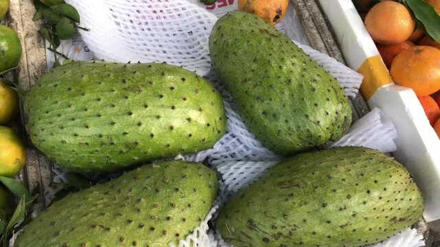 Soursop (also called graviola, guyabano, and in Latin America guan&aacute;bana) is the fruit of Annona muricata