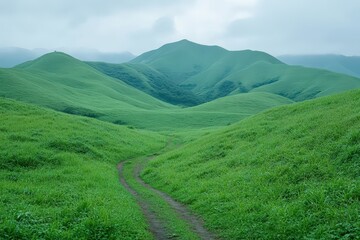 Obraz premium Dirt Path Winding Through Rolling Green Hills Under Cloudy Sky