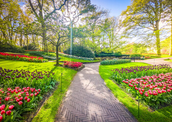 Obraz premium Winding path with tulips flowerbed in spring formal garden