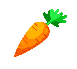 Fresh Orange Carrot with Green Leaves on White Background